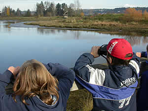 Birdwatching at the Courtenay Airpark