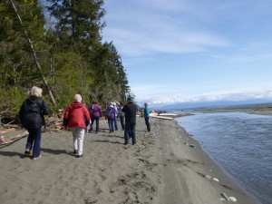 Botany Group walked from the Oyster River